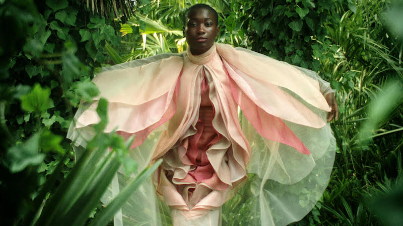 Viva！まんこ！スチール