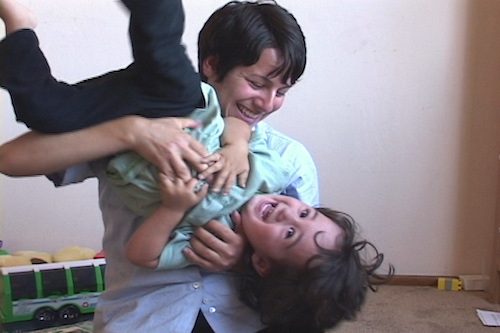 トランスペアレントスチール